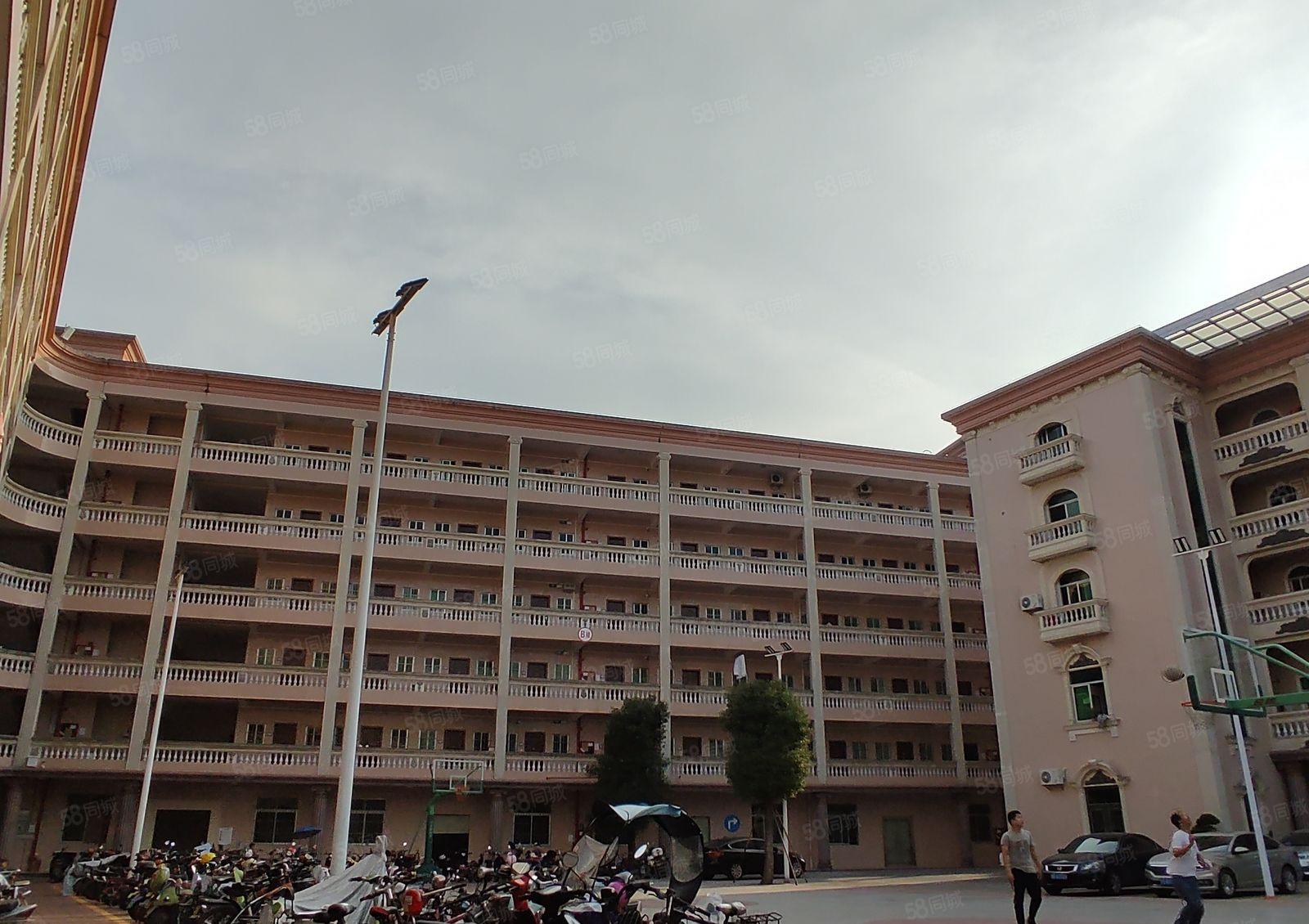 龙华观澜同富裕工业园精装修两百至两千平方可分租仓库厂房出租