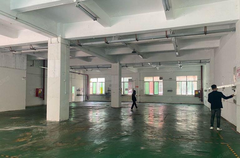 龙华大浪南路，一楼厂房588平出租，单价32元一平