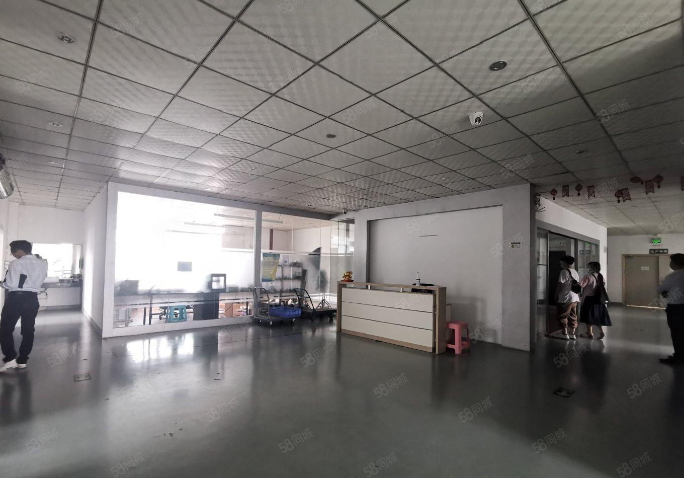 龙华观澜大富工业园1350平带精装修办公室仓库厂房出租可分租