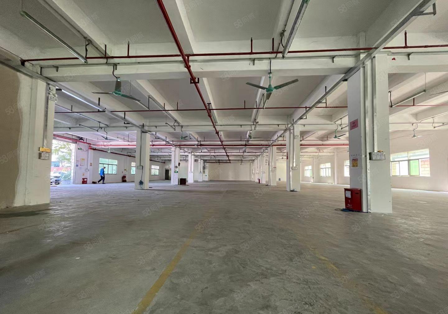 观澜黎光工业区新出原房东独栋厂房3300平出租有红本空地超大