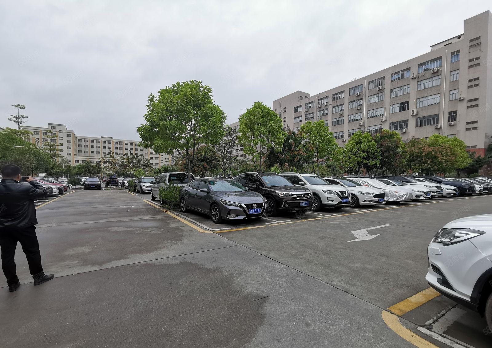 龙华大浪500至1400平原房东精装修红本办公室仓库厂房出租