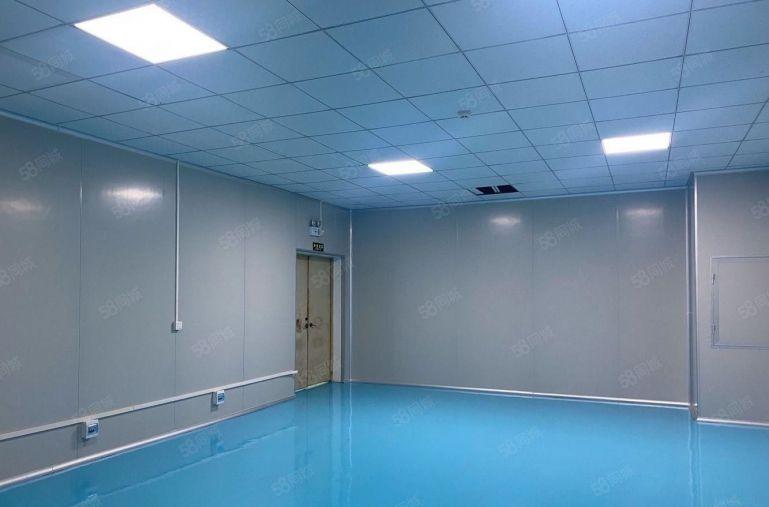 龙华大浪精装修厂房480平米，带无尘净化车间出租