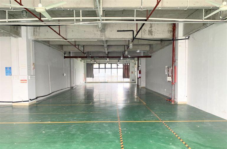 龙华大浪红本厂房1600平带精装修办公室仓库出租可分租易招工