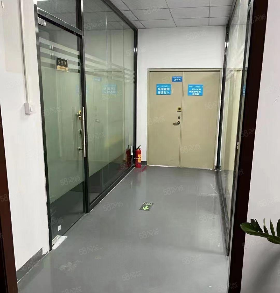 大浪370平550平1000平精装修厂房办公仓库一楼招租