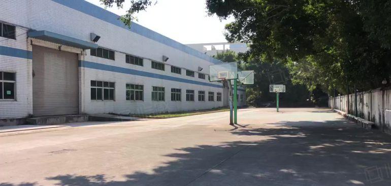 原房东观澜厂房出租2000平方8米高,报价30