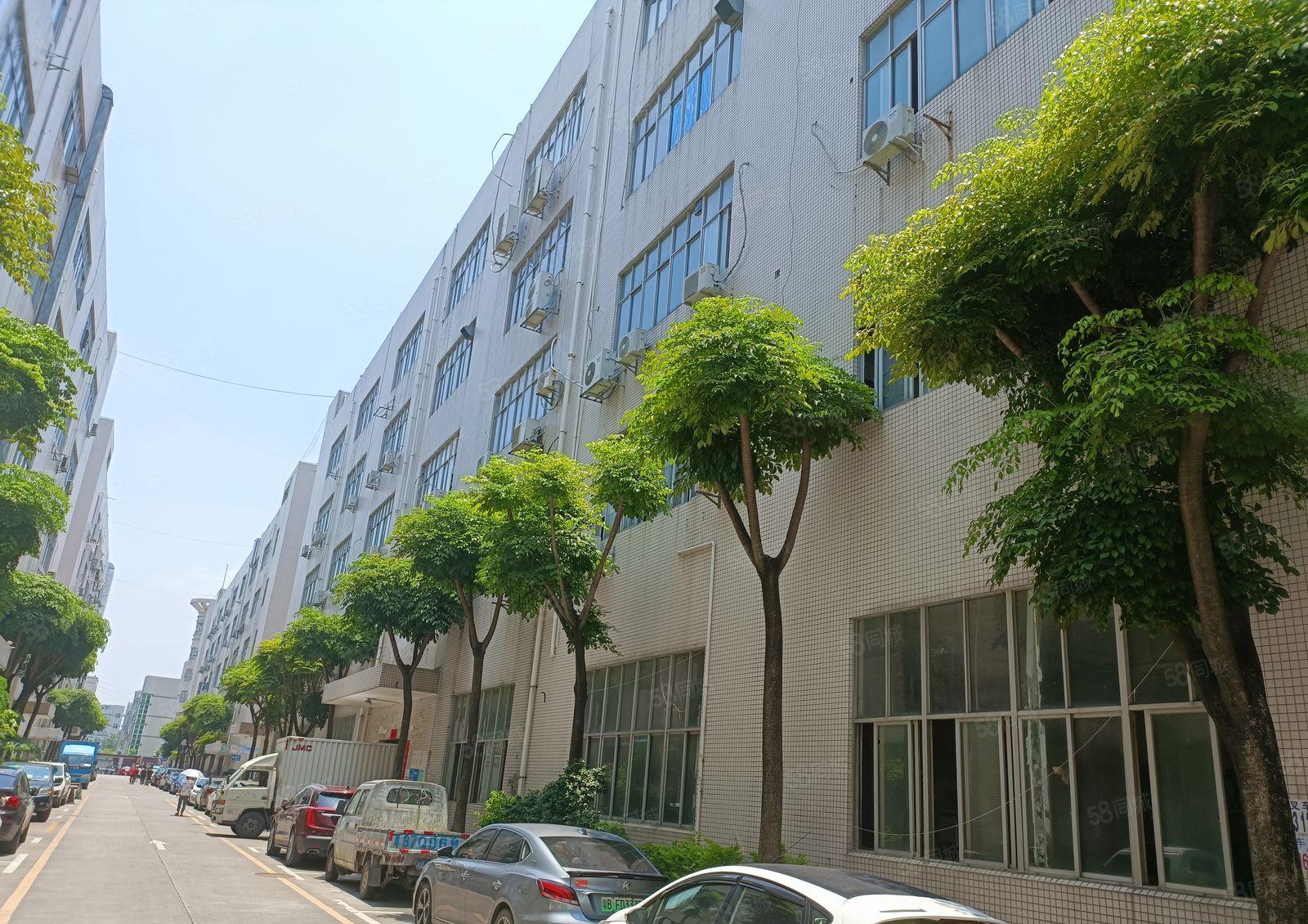 龙华一楼7米楼上5米1000平米200平米起租带消防3吨货梯