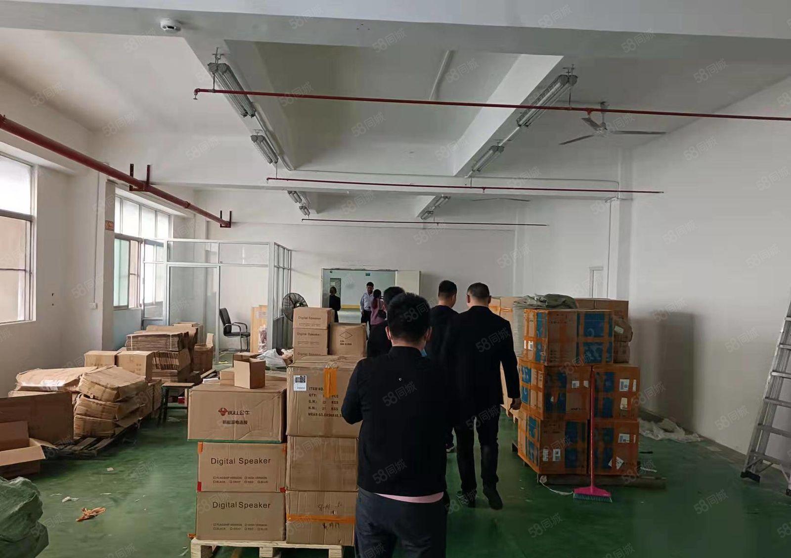 龙华大浪新出楼上1500平标准厂房出租