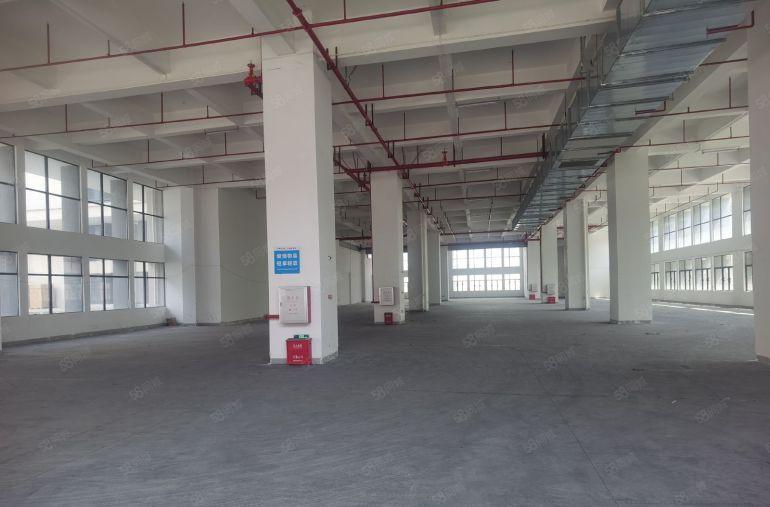 龙华观澜章阁工业区2000平方全新标准厂房出租大小可分租