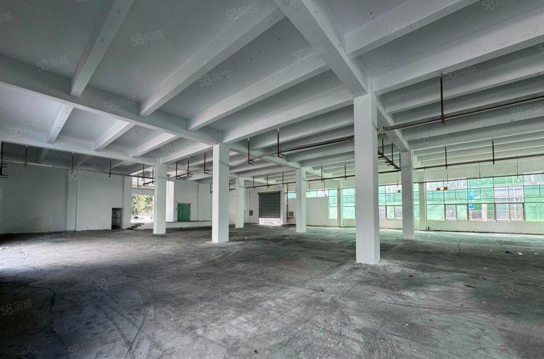 华为九龙山片区2000平一楼厂房仓库出租，挂车可自由进出
