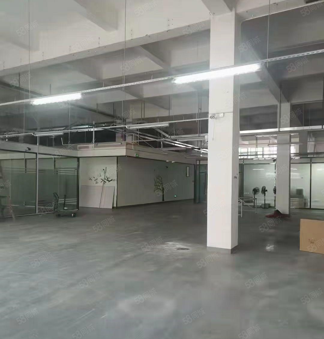 民治牛栏前1楼厂房950平，精装，高6米，租金40元