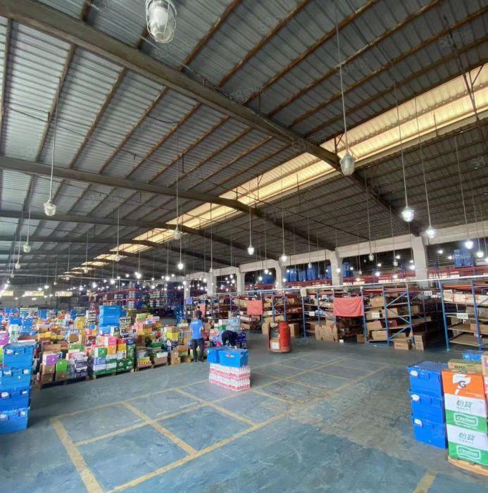 观澜物流仓库厂房8300平照片实拍带整排卸货平台厂房出租