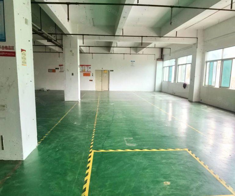 大浪东龙兴1340平有办公室隔间生产区带喷淋厂房现成装修