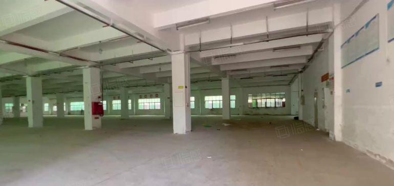 观澜黎光红本独门独院厂房一楼1700平方可整租可分租无宿舍