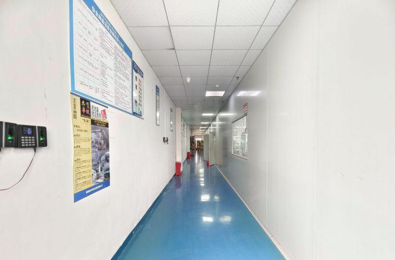 大浪商业中心厂房仓库出租1000至3000平方精装修无尘车间