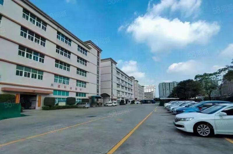 龙华独门独院原房东厂房出租，花园式厂房形象好