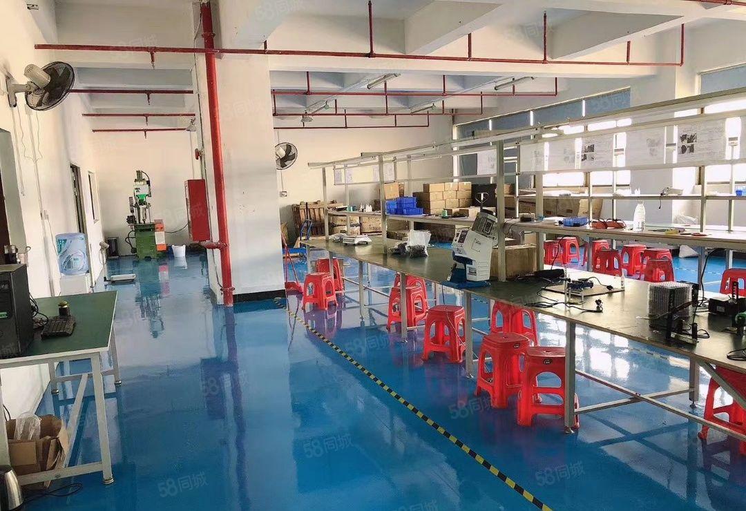 龙华大浪原房东楼上700平方现成精装修办公室红本厂房出租分租