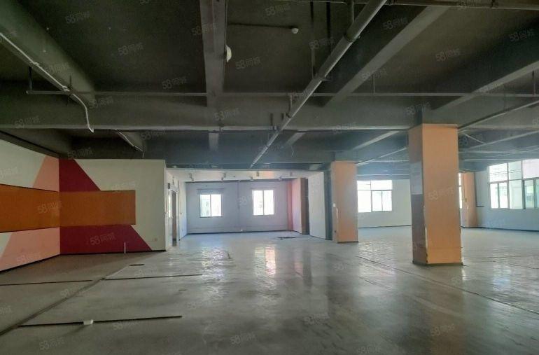龙华油松花园式厂房楼上整层1500平可分租，适合电商仓库办公