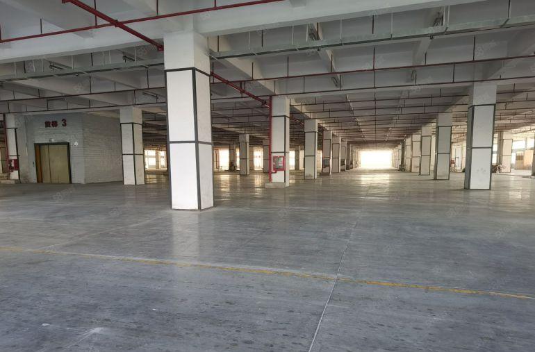 龙华地铁口原房东厂房仓库3600平出租带丙二类消防层高6米