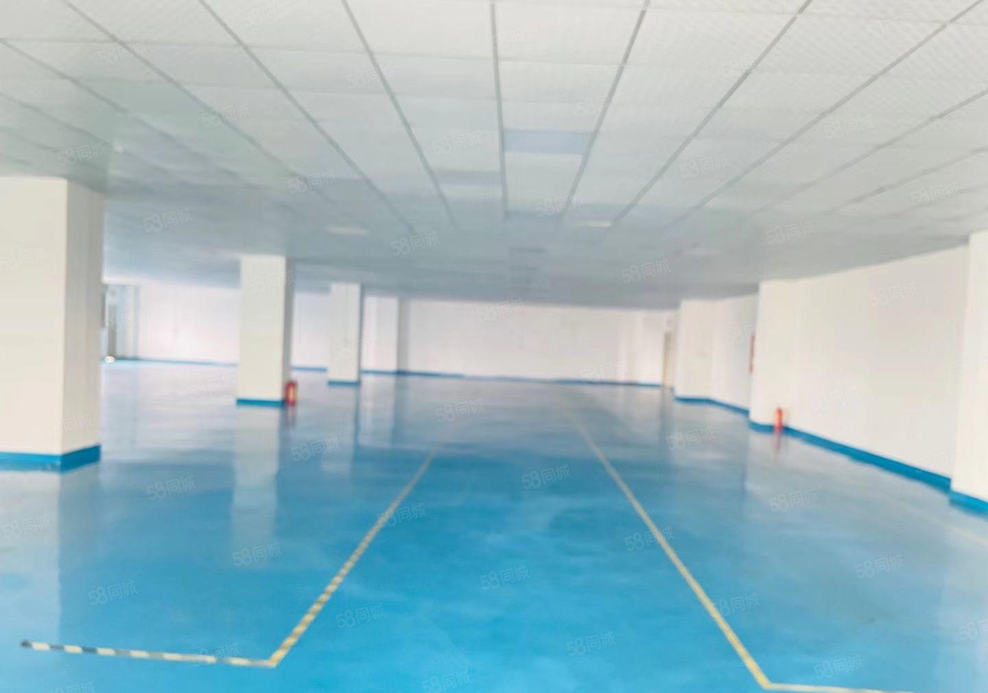 精装修石岩外环路1380平方厂房出租，水电到位，可办环评