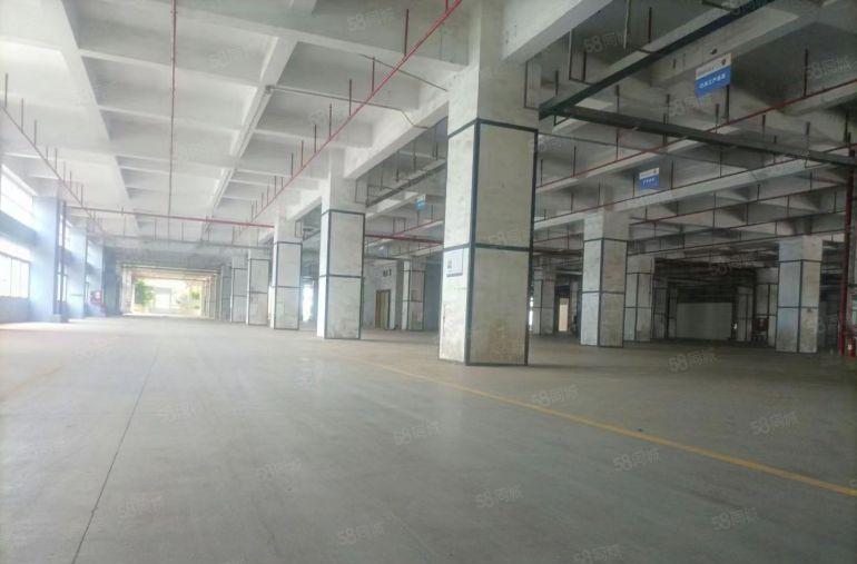 龙华一楼厂房仓库 层高6米 承载1吨每平米 火热直租