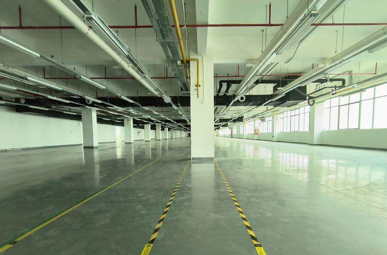 龙华新区主干道边工业楼上标准厂房2000平，低价出租，好招工