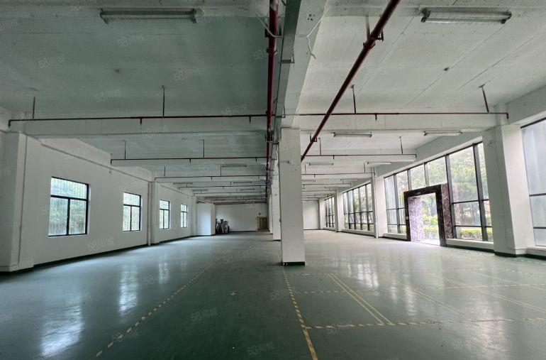 龙华民治产业园区红本厂房仓库1000平分租超大空地带企业补贴