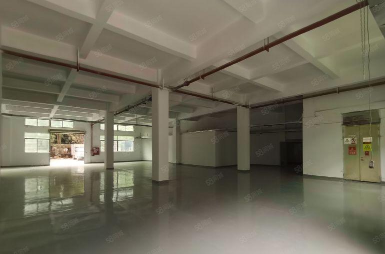 观澜黎光独院厂房一楼1400平米厂房出租精装修厂房办公