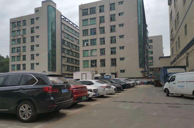 观澜原房东2楼2000带办公室装修招租