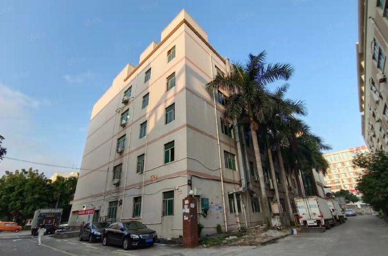 龙华地铁站旁原房东精装修1000平方无尘车间200平起租