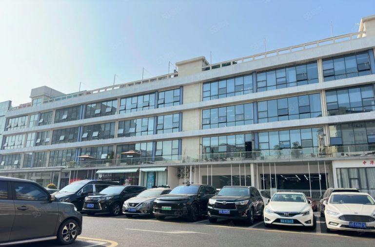 100平起，大浪商业中心660平豪华装修，舞蹈培训，电商直播