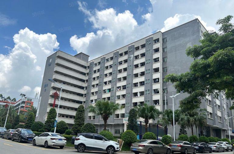 实用率90，龙华大浪原房东建筑面积918平商新园区厂房出租