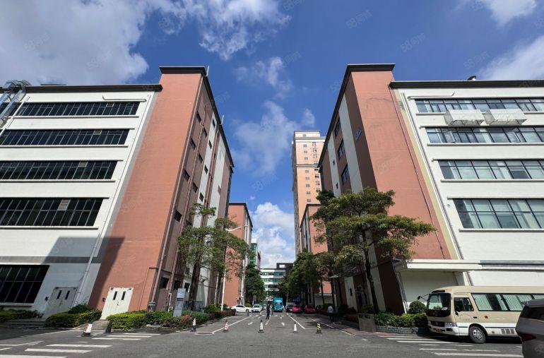 300平起租观澜原房东工业园精装修厂房办公出租一楼仓库可分租