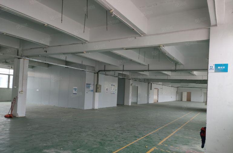 樟坑径新出1楼带豪华装修1380平方厂房仓库出租