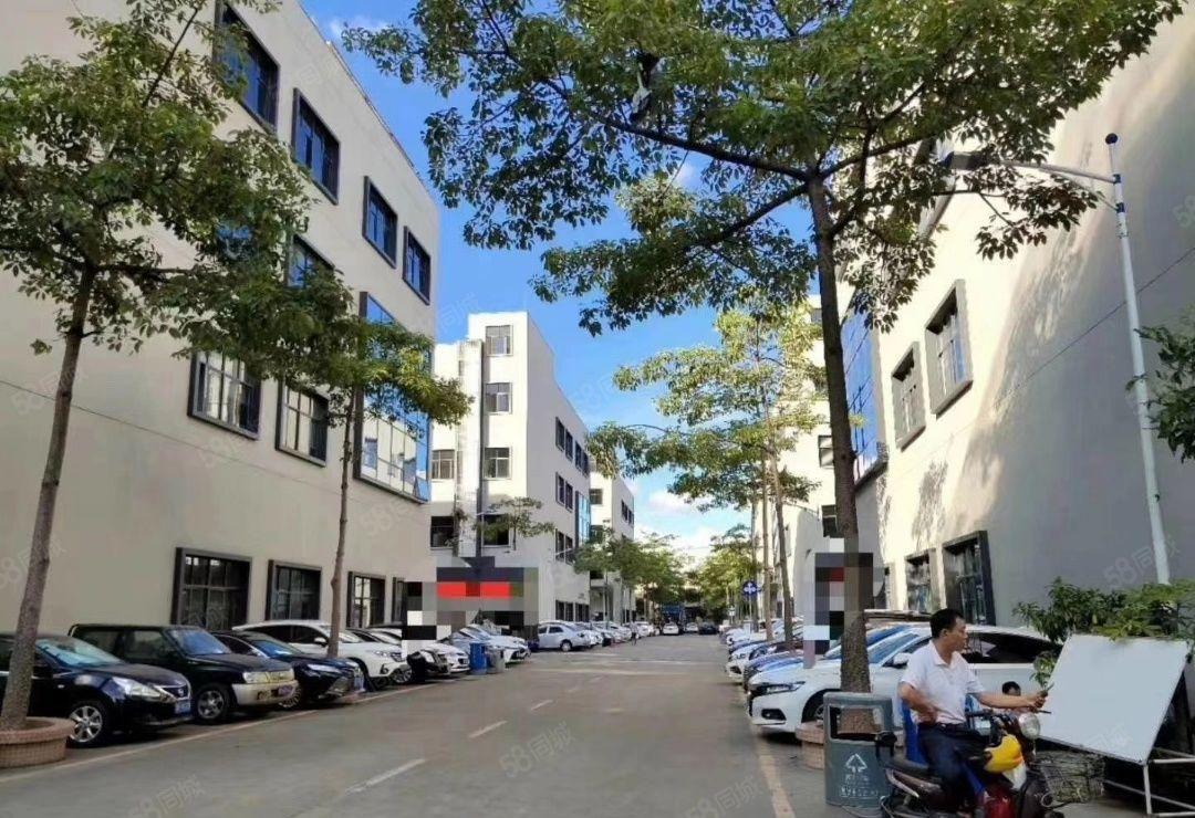 龙华建筑面积出租独栋独院6000平厂房出租可分租工业园仓库租