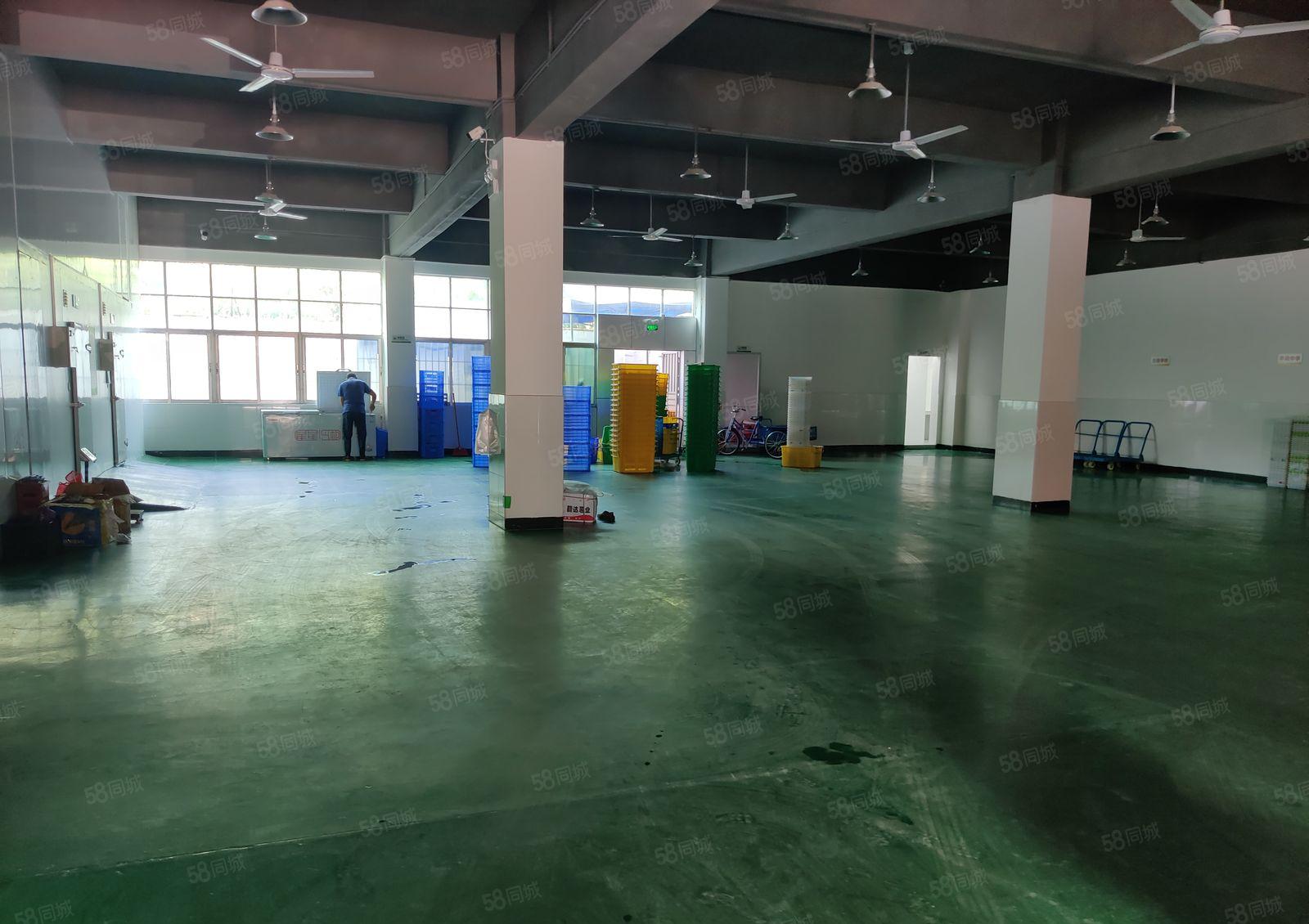 龙华油松原房东一楼1000平厂房出租，500可分租 可办环评