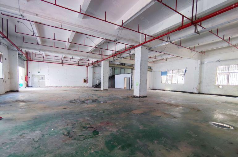 观澜工业园内 一楼厂房出租800平方 带办公室装修