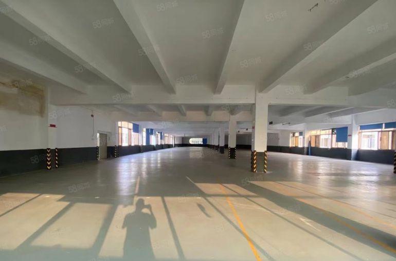 精装全新独栋4500平，可分租，形象玻璃幕墙外观，有两吨货梯