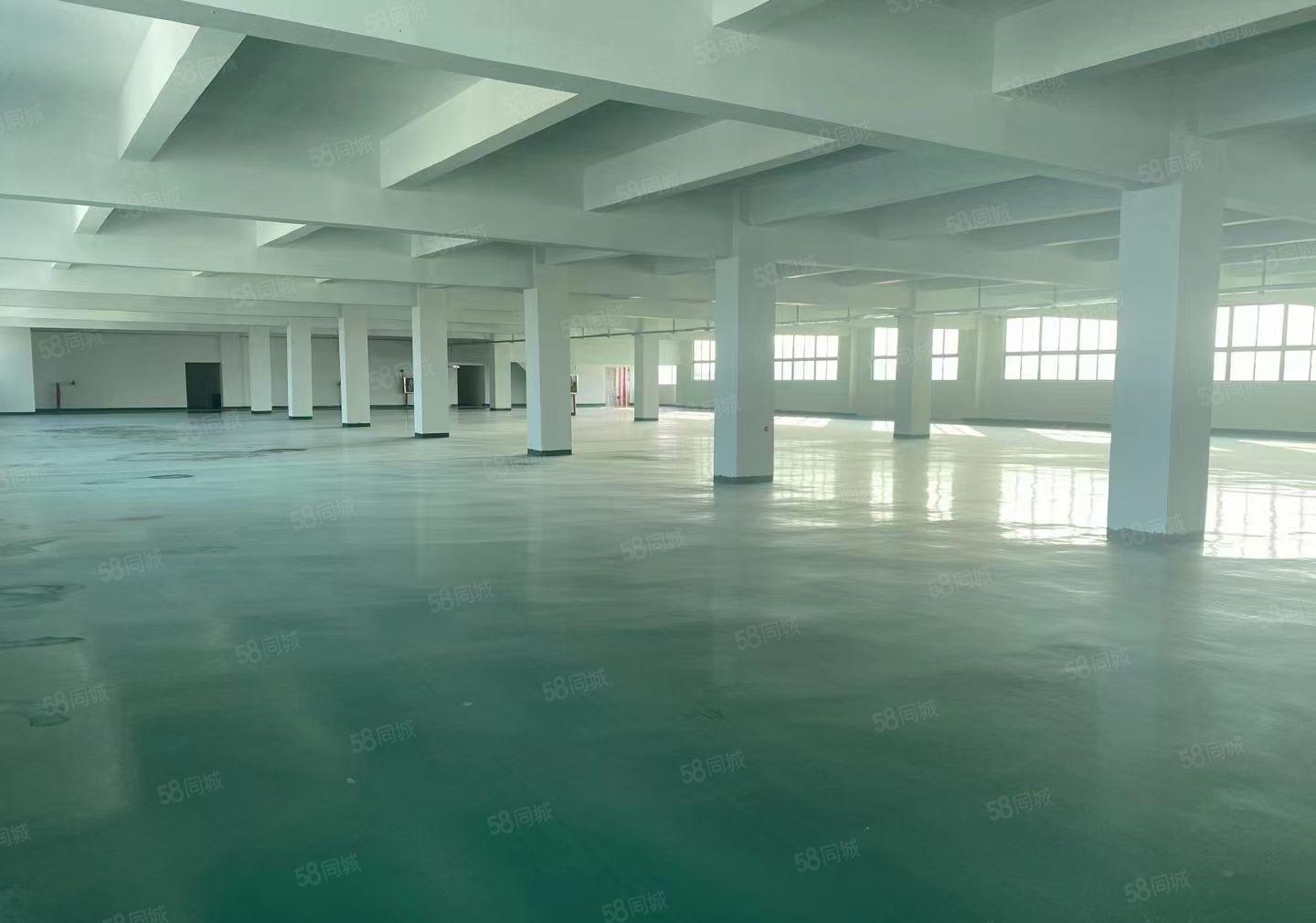 龙华石观单层面积2000平米，大小可以分租 原价转让