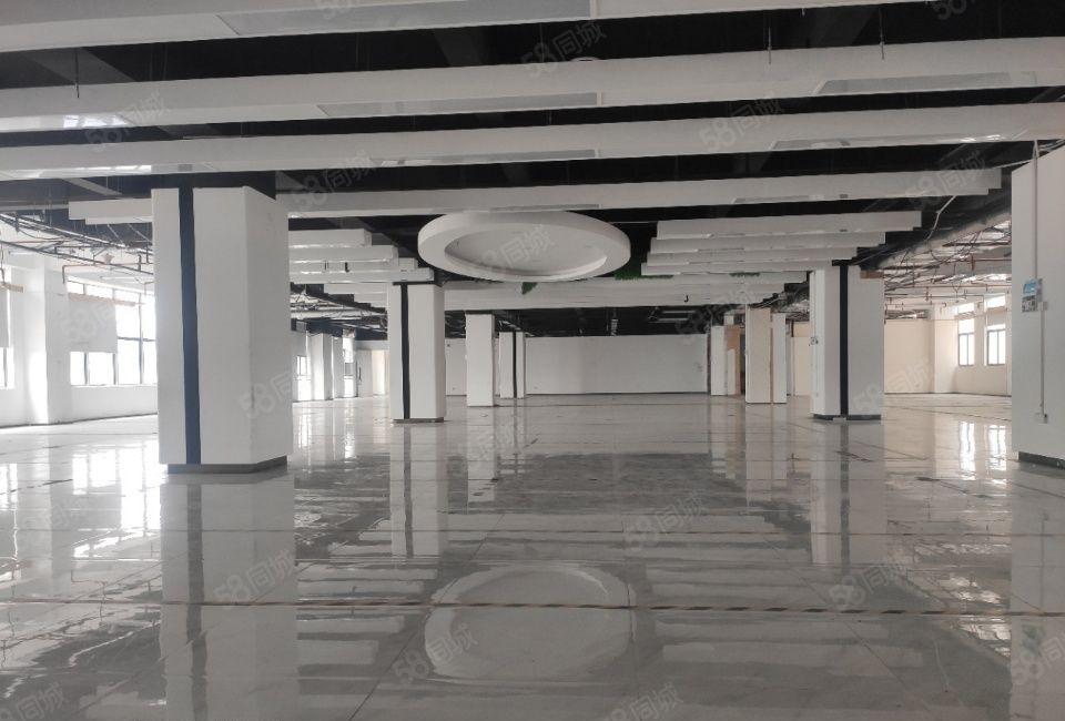 龙华大浪高薪工业园区厂房仓库出租分租一楼物流仓首层高度6米