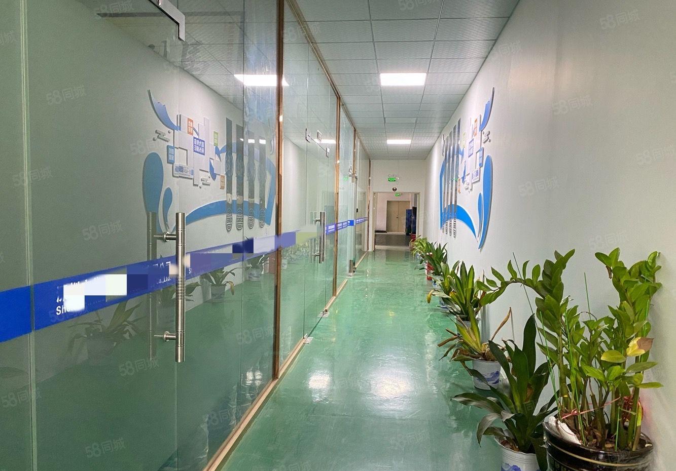 观澜新田高速口1500平方精装修原房东红本仓库厂房出租零公摊