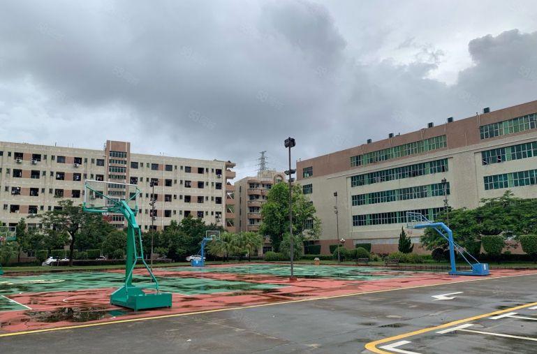 单价20年前低价厂房出租龙华清湖地梯口旁工业园500平起租