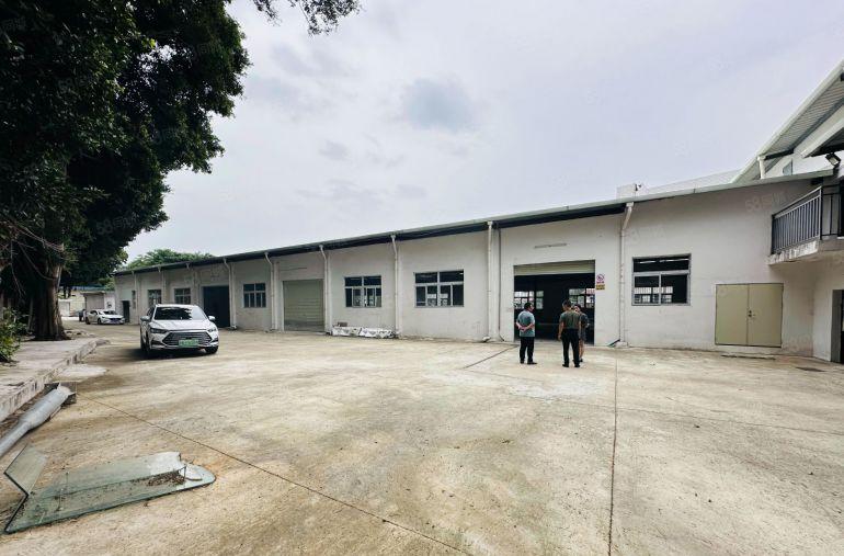 龙华元芬单一层独院钢构2500平出租层高7米近地铁站好招工