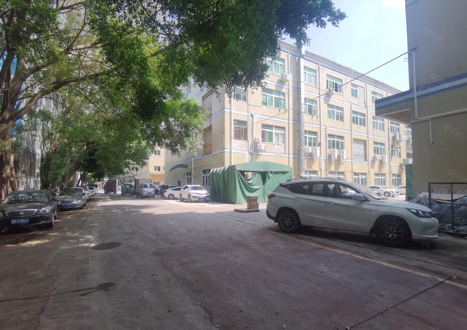 观澜松元环观中路有轨电车站台附近新出1200平楼上厂房出租。