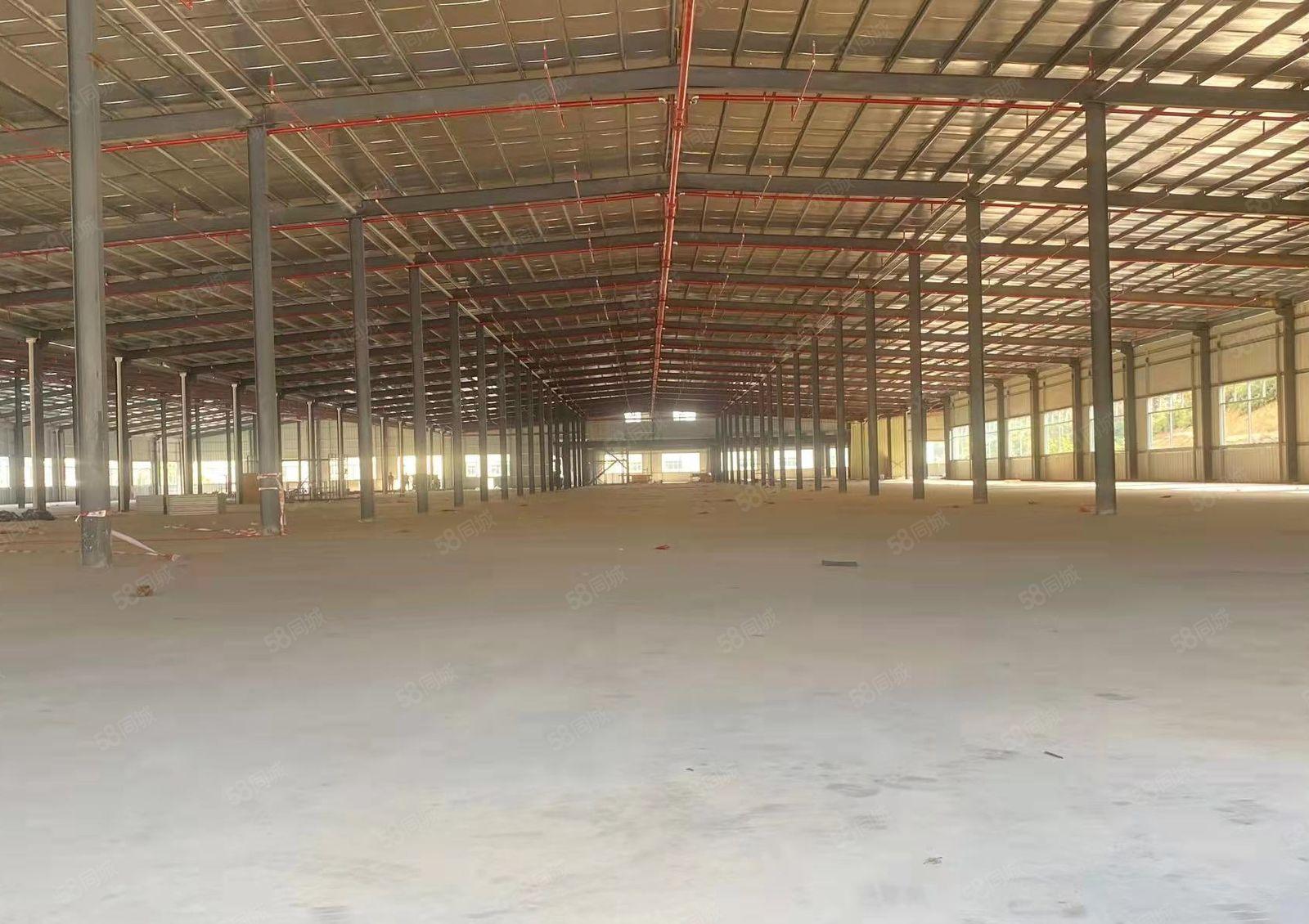 惠州惠阳新独院钢构20000平厂房出租