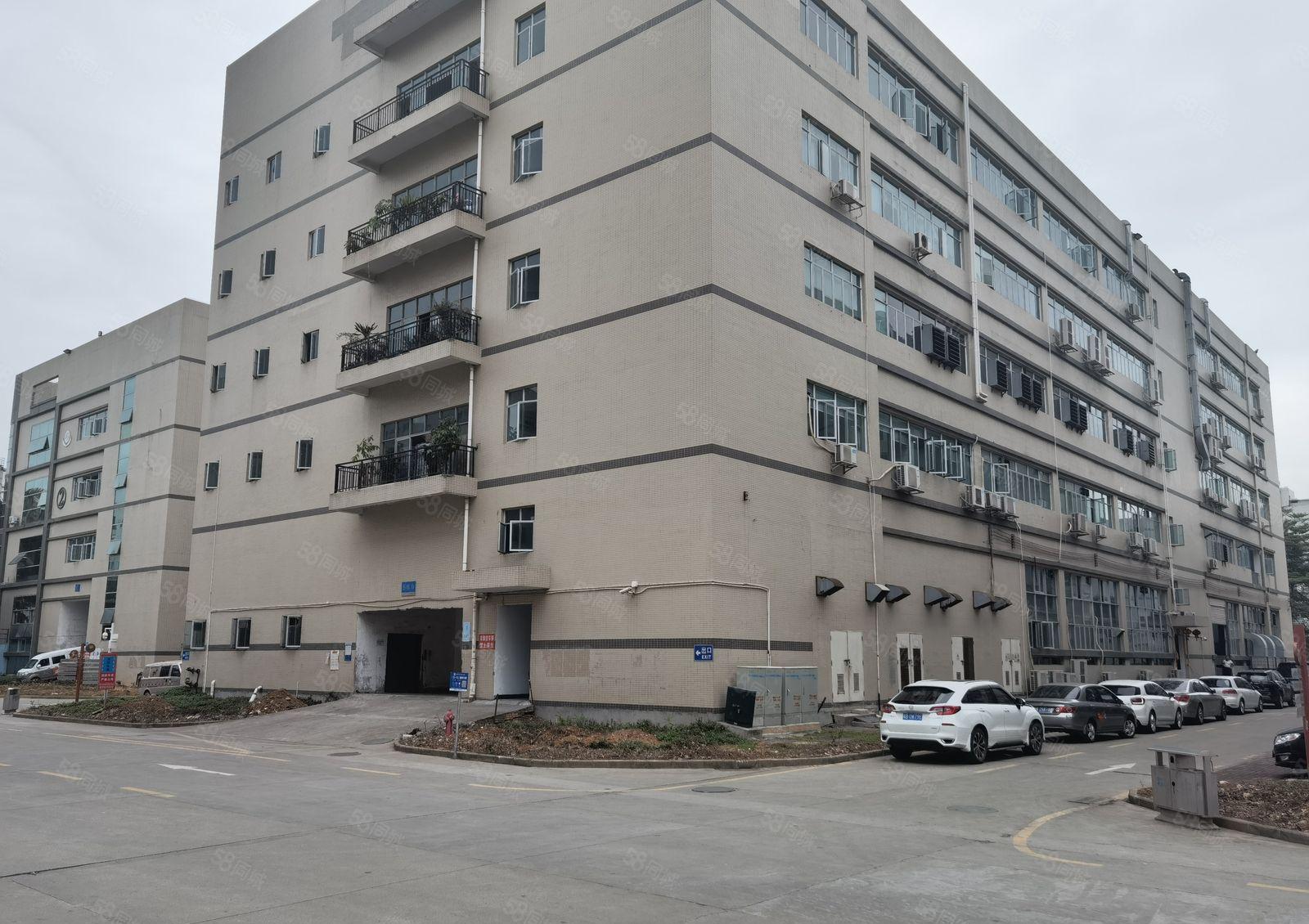 龙华大浪工业园独栋厂房5500平方出租500平方起分租