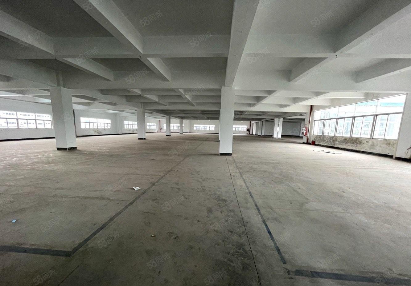 龙华大浪原房东厂房出租带有卸货平台和雨棚空地面积大小面积分租