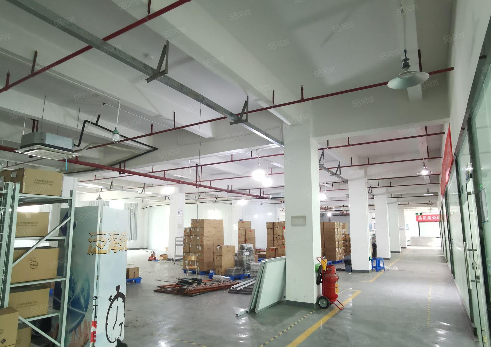 观澜环观中路松元大布头整层1900平米带办公室装修厂房出租