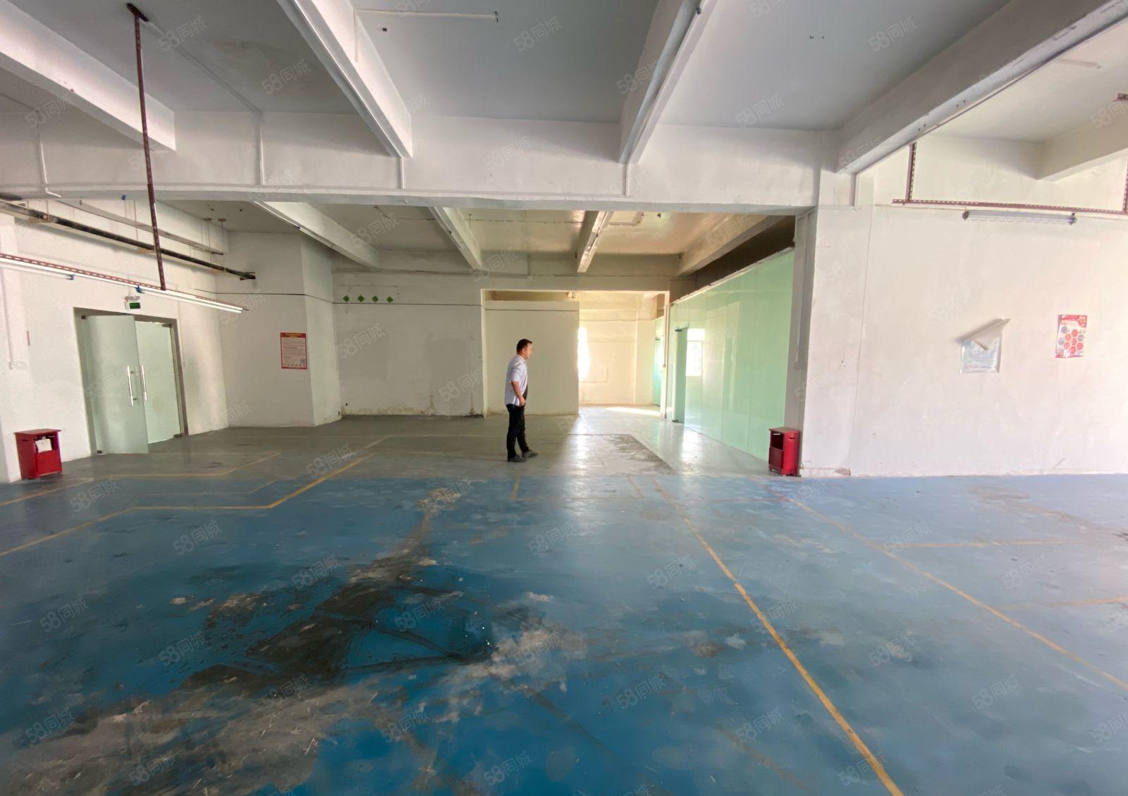 观澜桂花楼上500平原房东小面积精装修厂房仓库出租