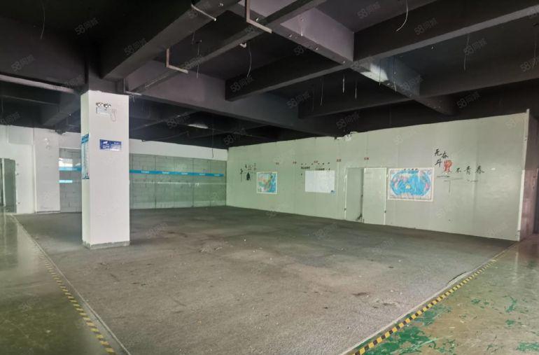 原房东红本整层1115平龙华大浪现成装修科技园办公室厂房出租