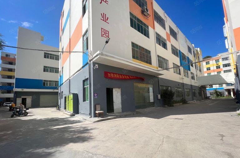 年前免租！观澜大道新出一楼1500平二楼2000平特价出租